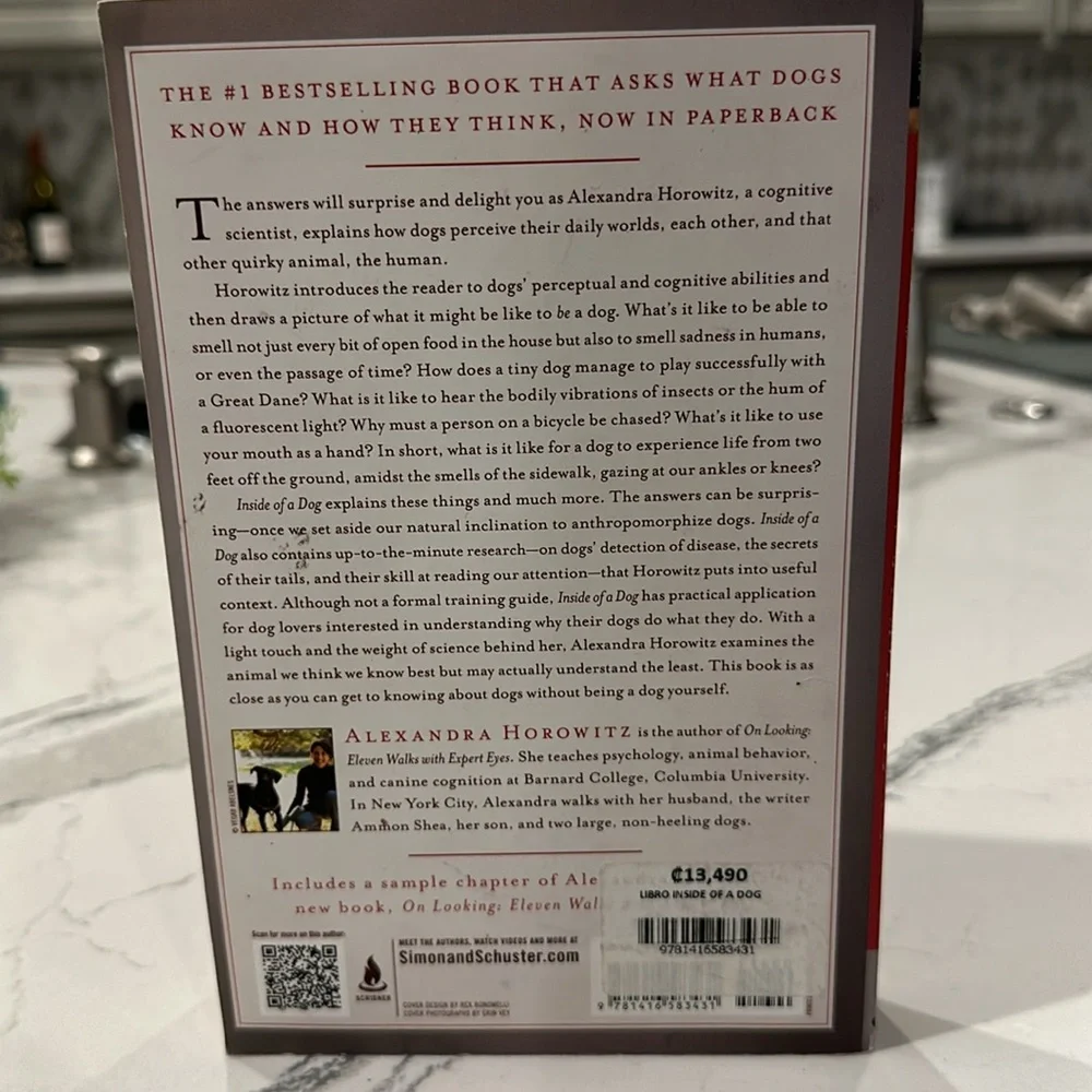 All about Digs book. #1 Bestseller.